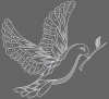 Snohomish Doves